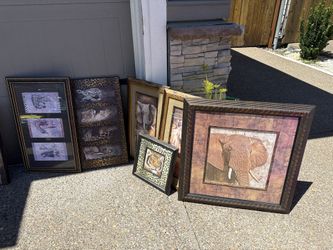 Animal Print  Wall Decor 