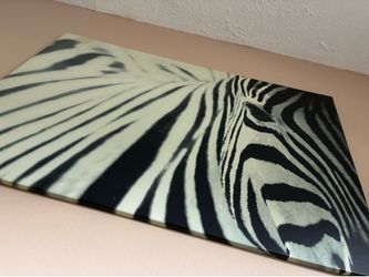 Zebra canvas