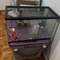 Glass Cage 