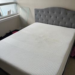 14 Inch Queen mattress