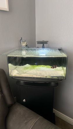 Aquarium with stand great for coral 🪸 reef or sea fish