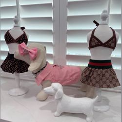 Dog Swim Suit 
