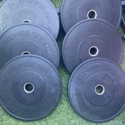 I'M SELLING THE COMPLETE SET, consisting of 6 weights (255 lbs, 225 lbs, and 2 x 10 lbs), plus the bar. This set is for sale at a professional store f