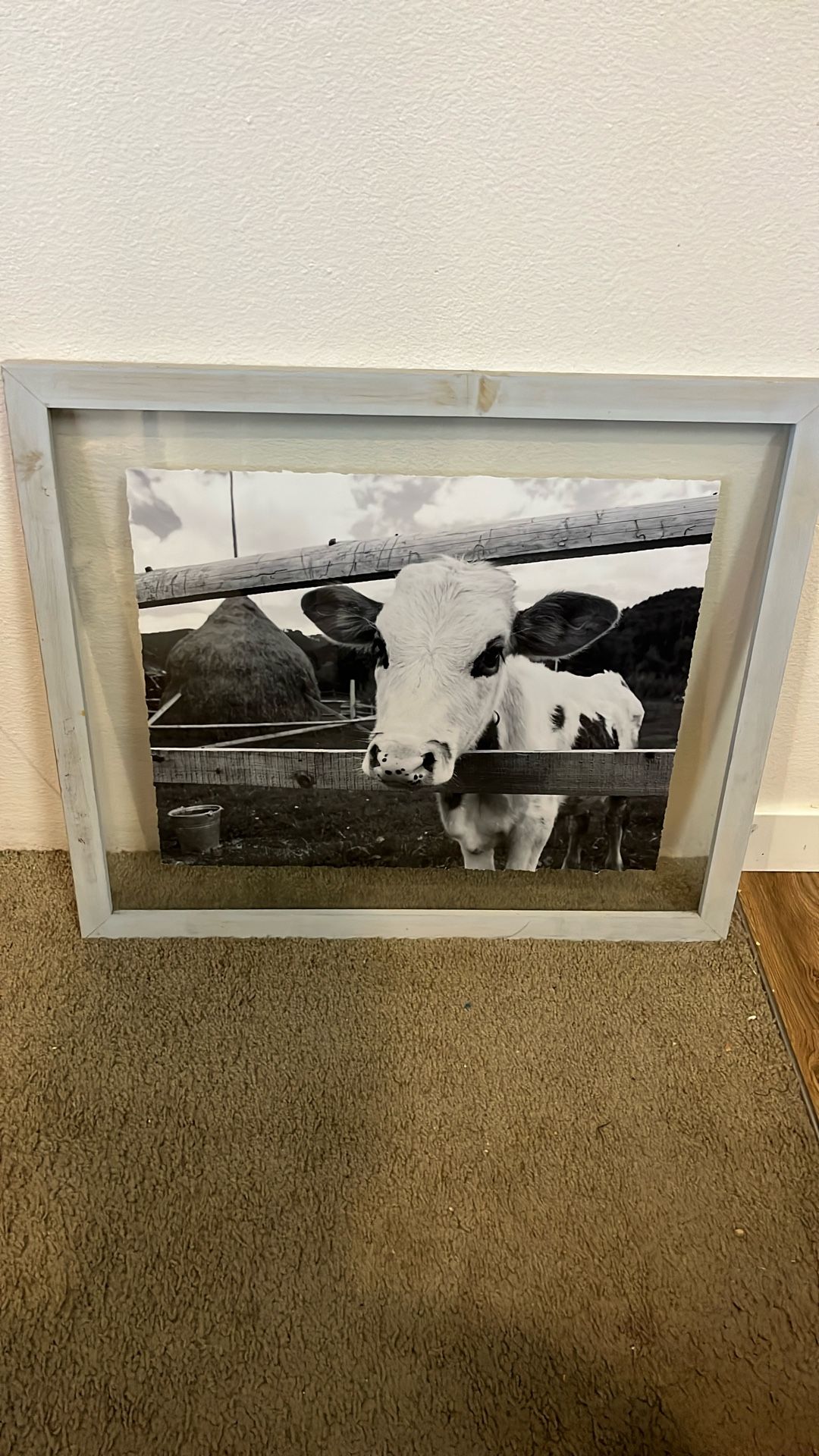 COW FRAME