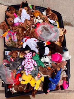 Ty beanie babies, buddies, attic collection and kids