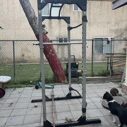 Bench Press, Pull Up, Squat Machine
