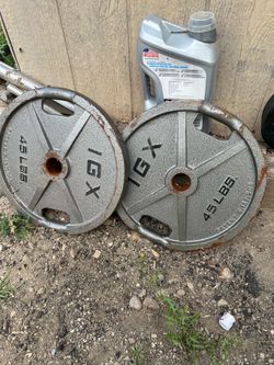 Olympic igx 45lbs x 2
