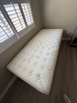 Staava Organic Cotton XL Twin Mattress with frame