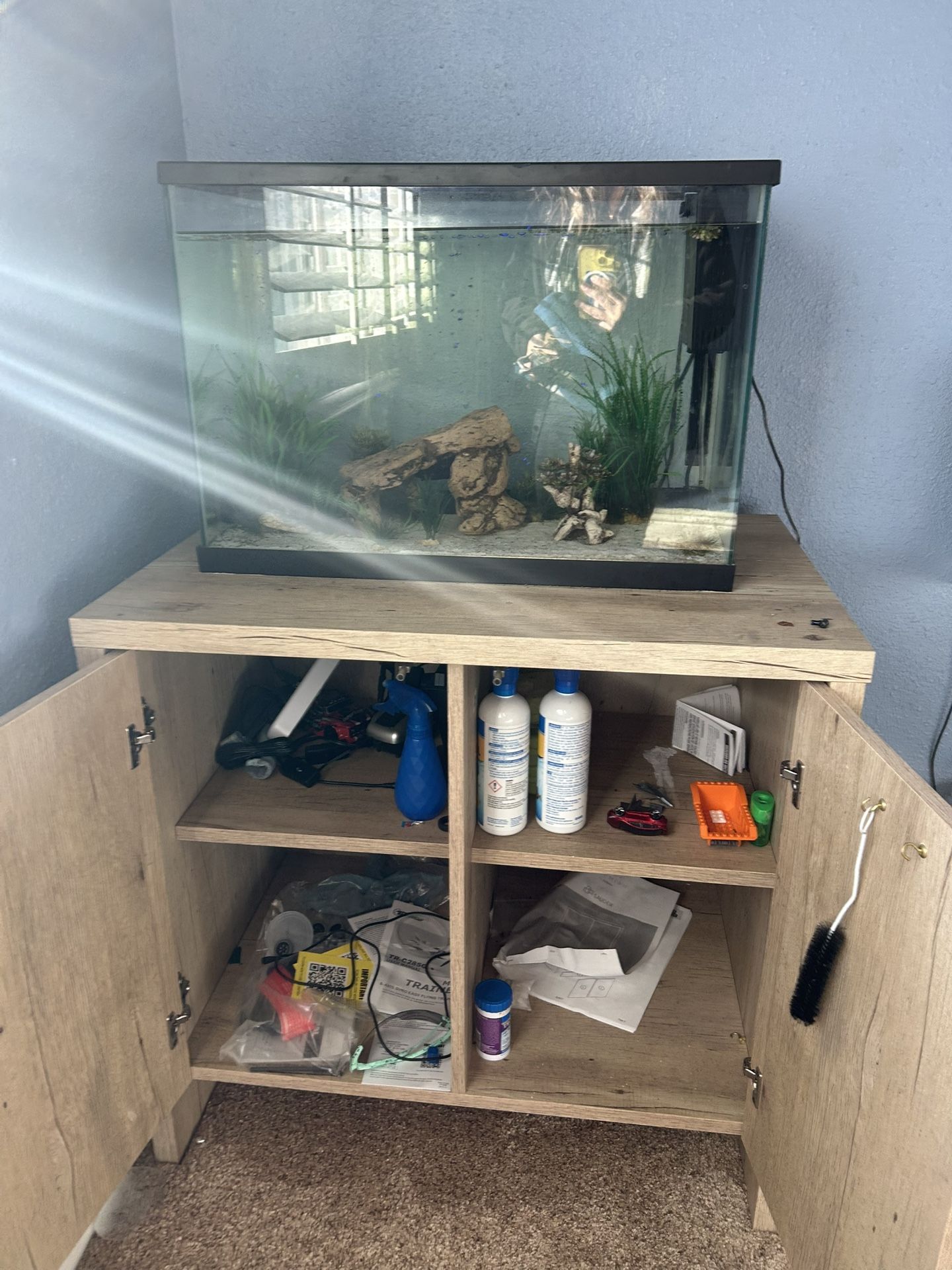 Fish Tank + Stand