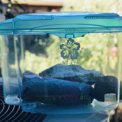 Used Reptile 🦎 🐸 Enclosure 