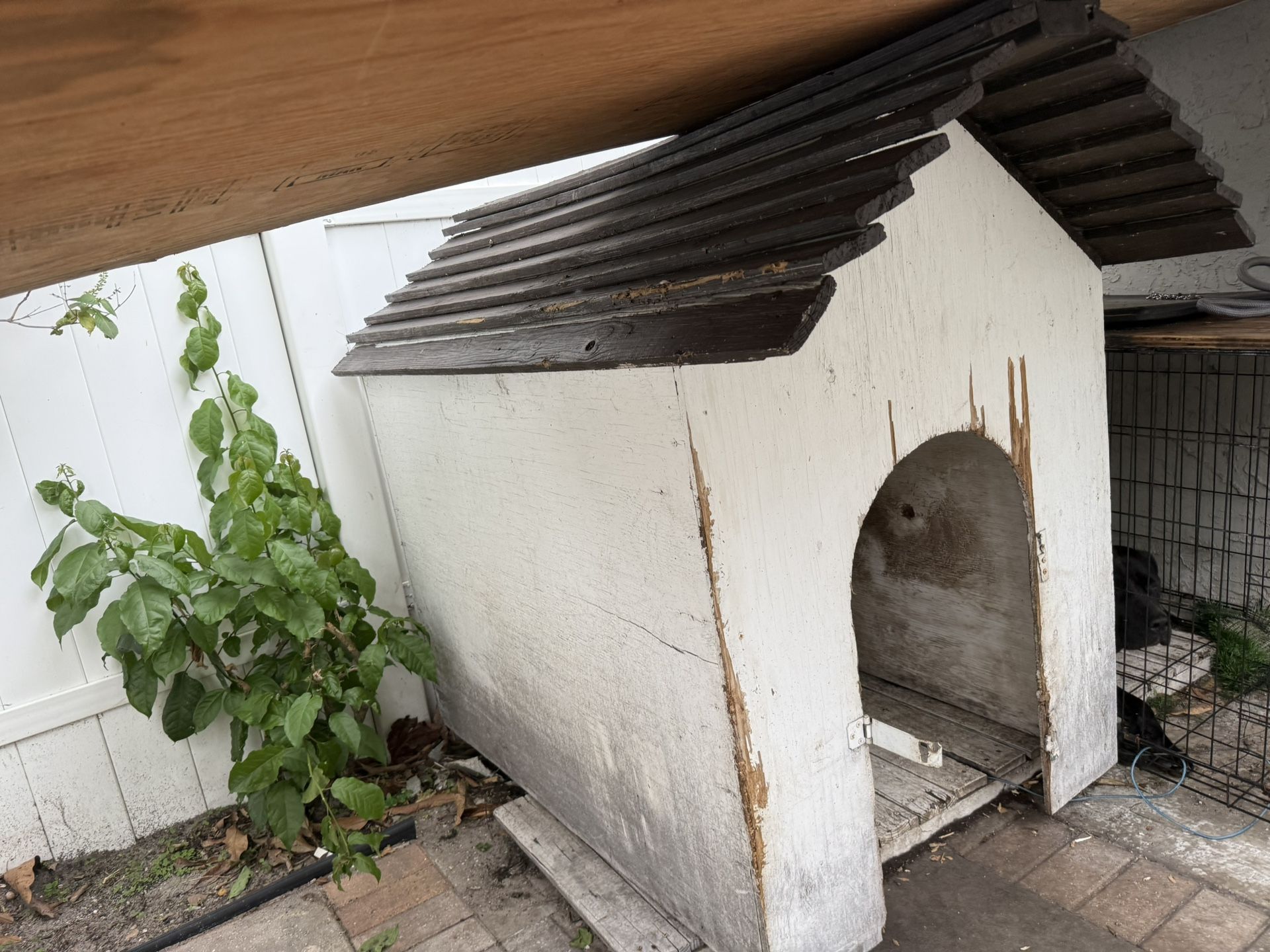 XL Dog House