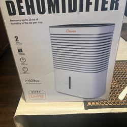 Dehumidifier Crane-4 Pine