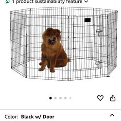 Pet Items
