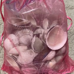 1.5 Pounds Of Cape Cod Sea Shells 