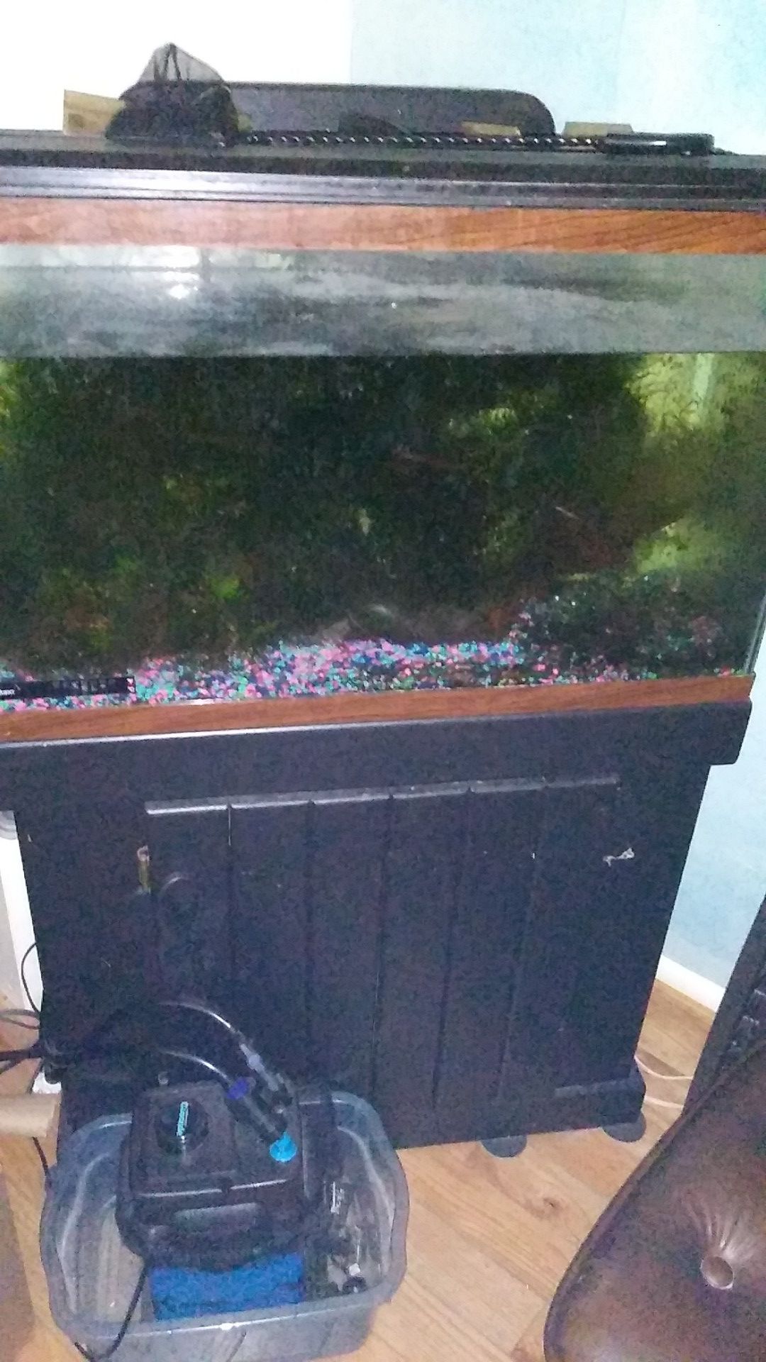 30 gallon fish tank with cabinet homemade very sturdy filter included only change it but once a year