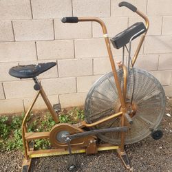 Schwinn Airdyne Bike