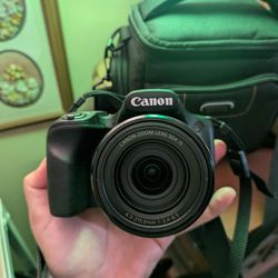 Canon PowerShot SX530 HS 16.0 MP CMOS Digital Camera with 50x Optical is Zoom 