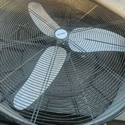 Industrial Fans