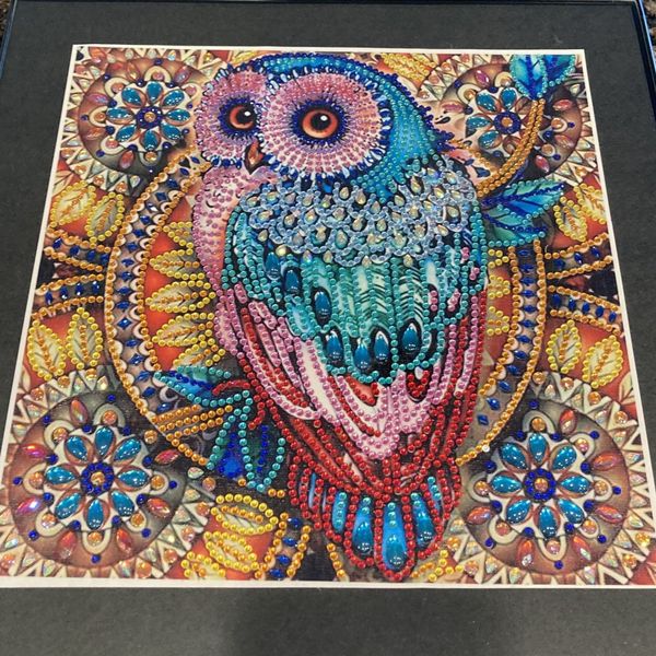 Finished Beautiful Rhinestone Diamond Art painting for Sale in Mesa, AZ