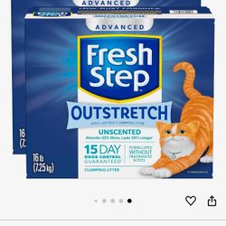 Cat Litter