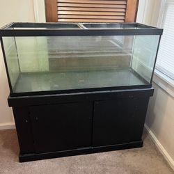 75 Gallon Fish Tank