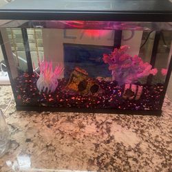 Free Small Fish Tank 