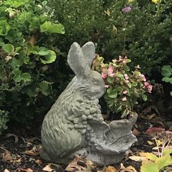 Cement bunny planter