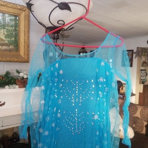 Elsa Dress. from. frozen. movie size large womens
