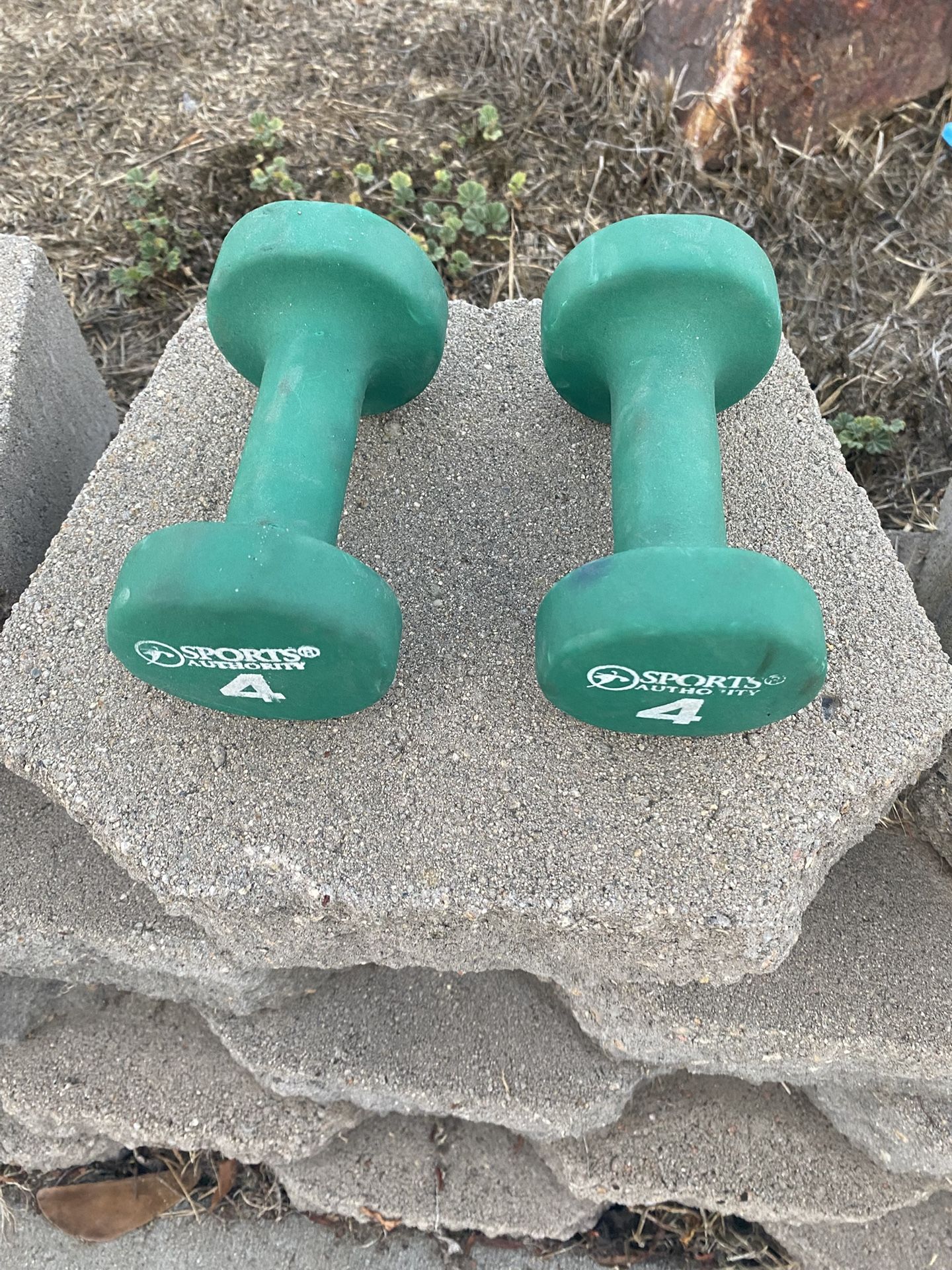 Hand Weights Set 4 Lbs each