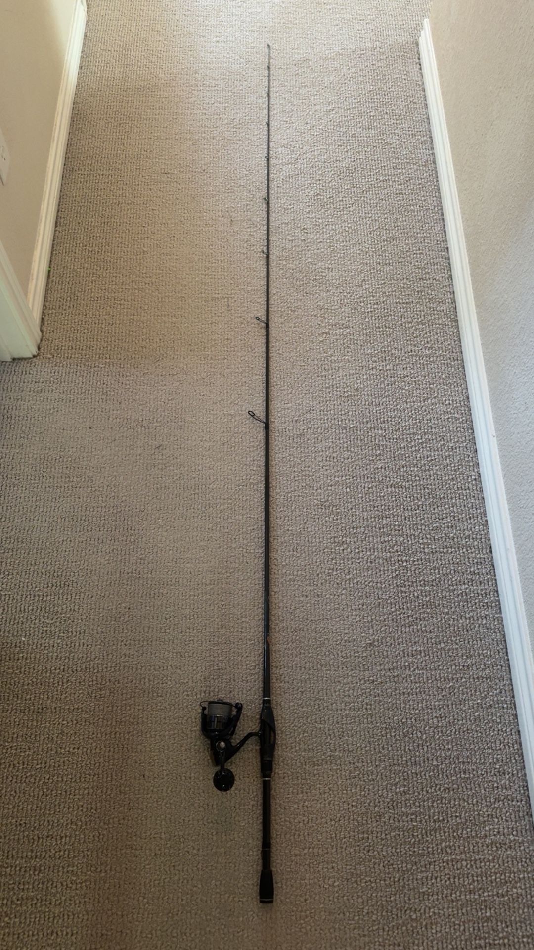 Phenix feather rod with a Shimano vanquish 3000Xg spinning reel