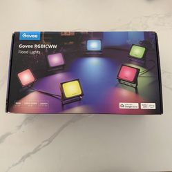Govee Flood Lights