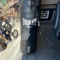 Punching Bag