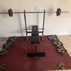 Weight and Bench Set