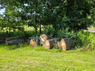 Free wood