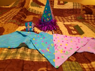 Dog Clothes Birthday Outfit