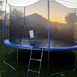 Trampoline 