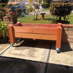Garden Boxes
