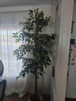 Large Artificial Ficus Tree
