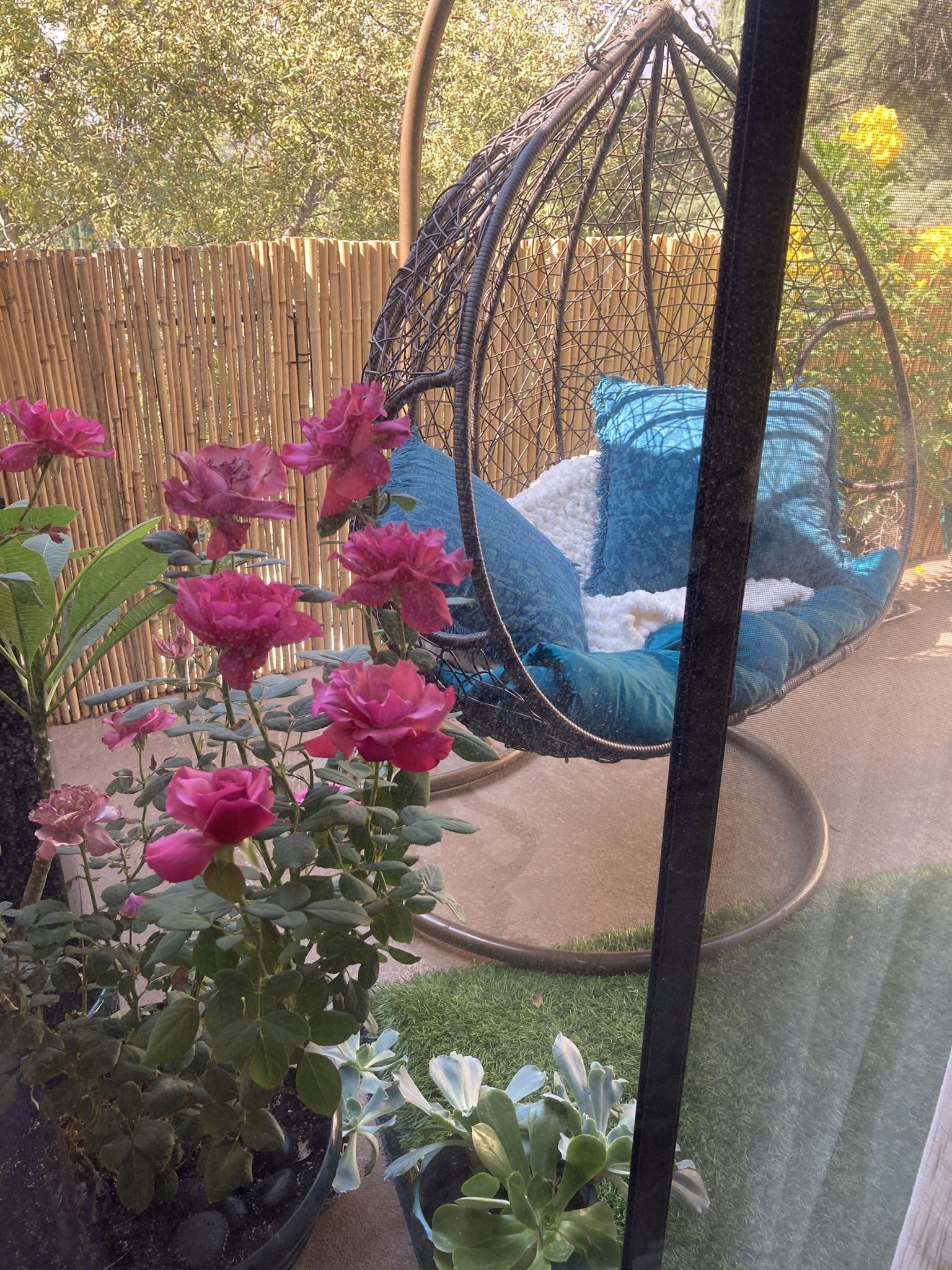 Outdoor Swing