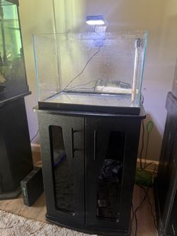 16-Gallon Aquarium Setup with BioCube Stand – $100