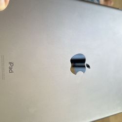 Mint 2019 iPad Air 3 with case and pen