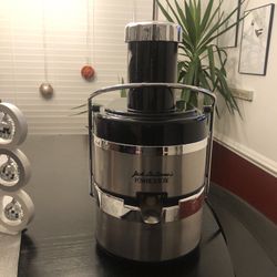 Power Juicer Stainless Steel 