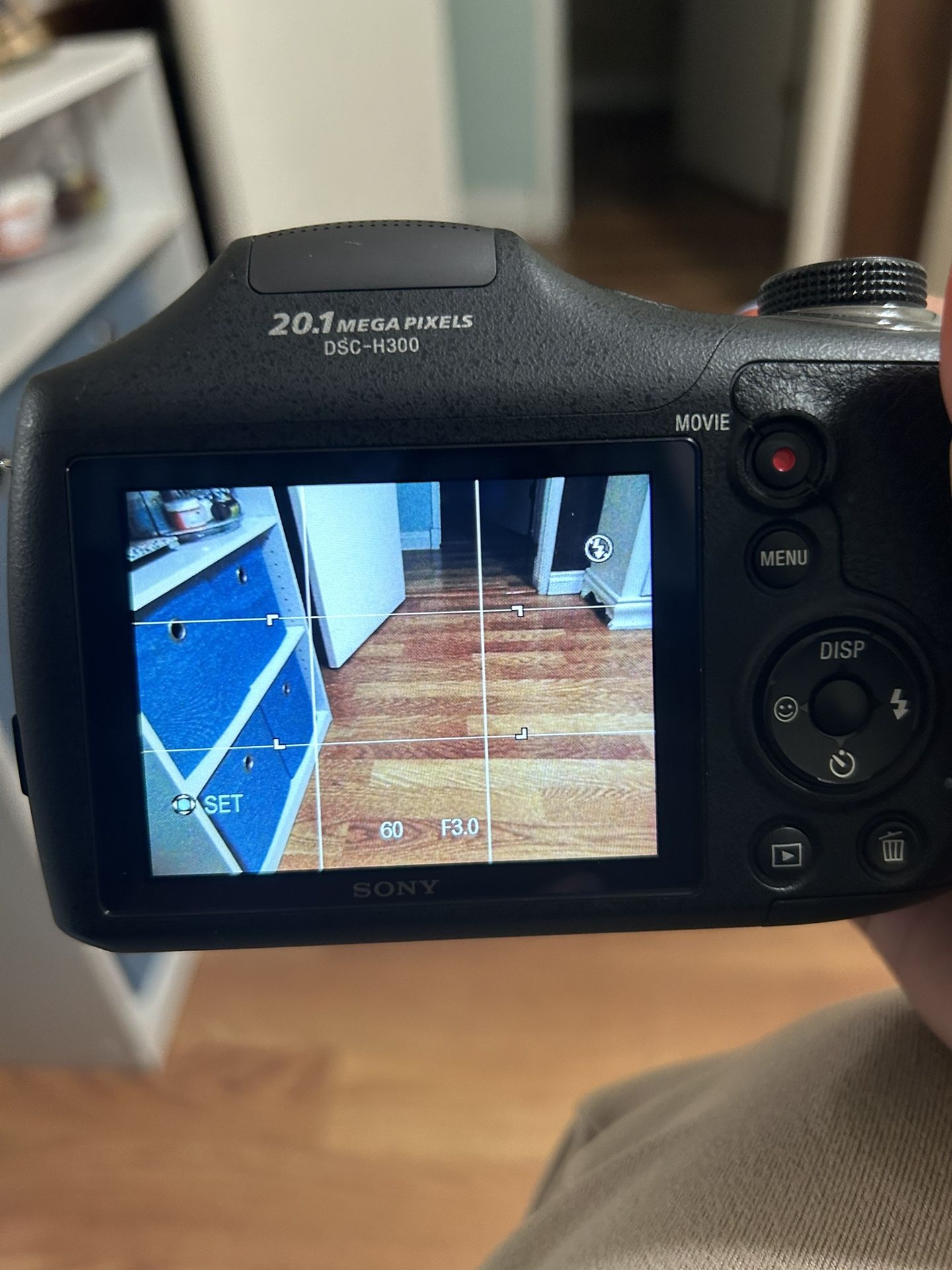 more pics for the sony camera