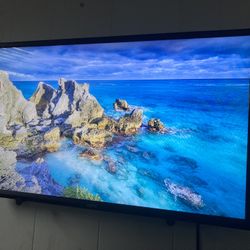 Vizio Tv