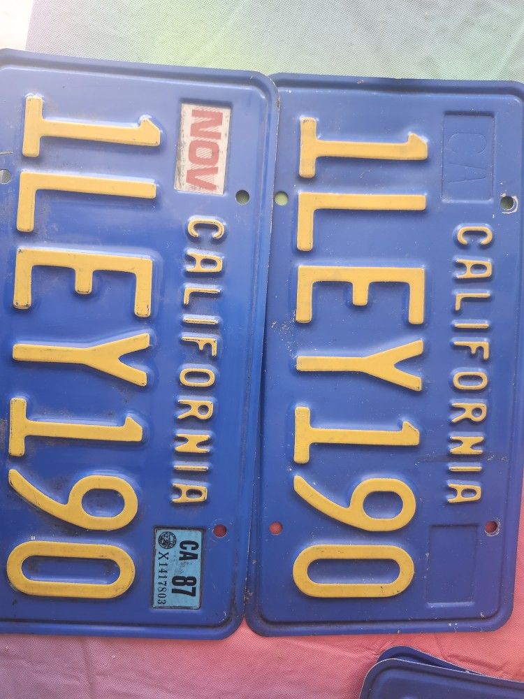 Dmv CLEAR Plates 80s