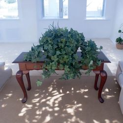 Gorgous Extra Large Lucious Silk Plant 