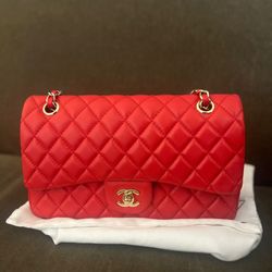 Chanel Medium Classic Flap Bag