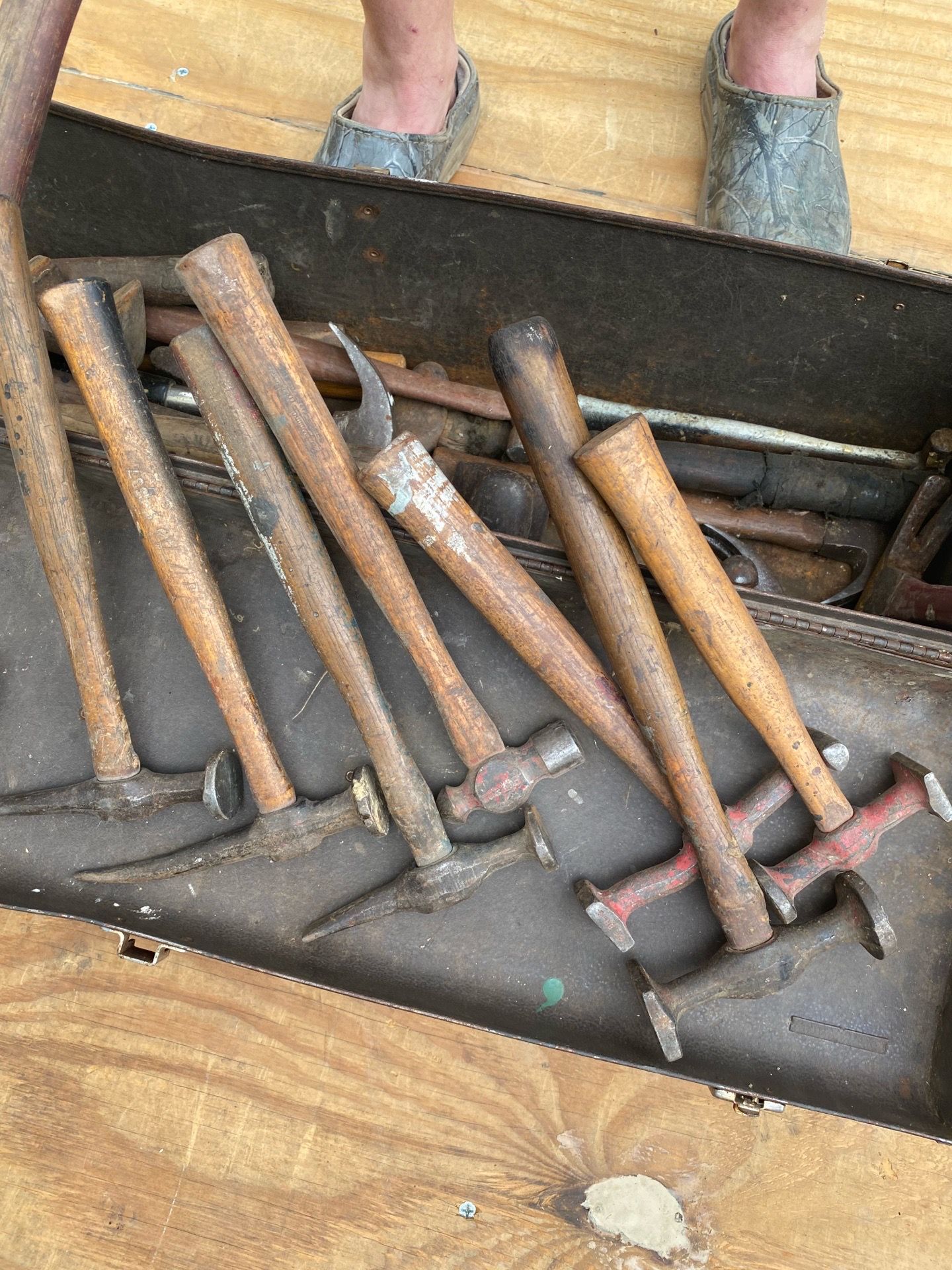 Tool box of hammers