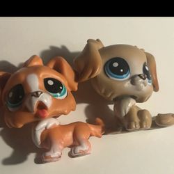 LPS dogs