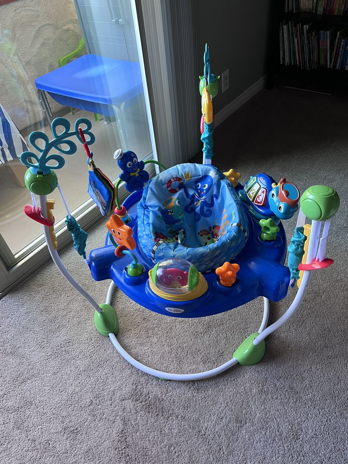 Baby Einstein Bouncer